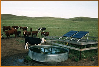 cows with tank and solar panels