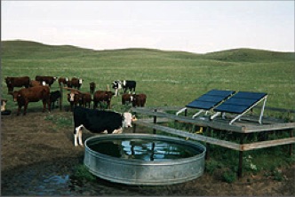 cows with tank and solar panels